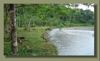 2.5 Ha Riverside Land good for Micro Farm or Eco Tourism Project, at the Gates of Corcovado Park. Electric Grid, public and private Water, easy road